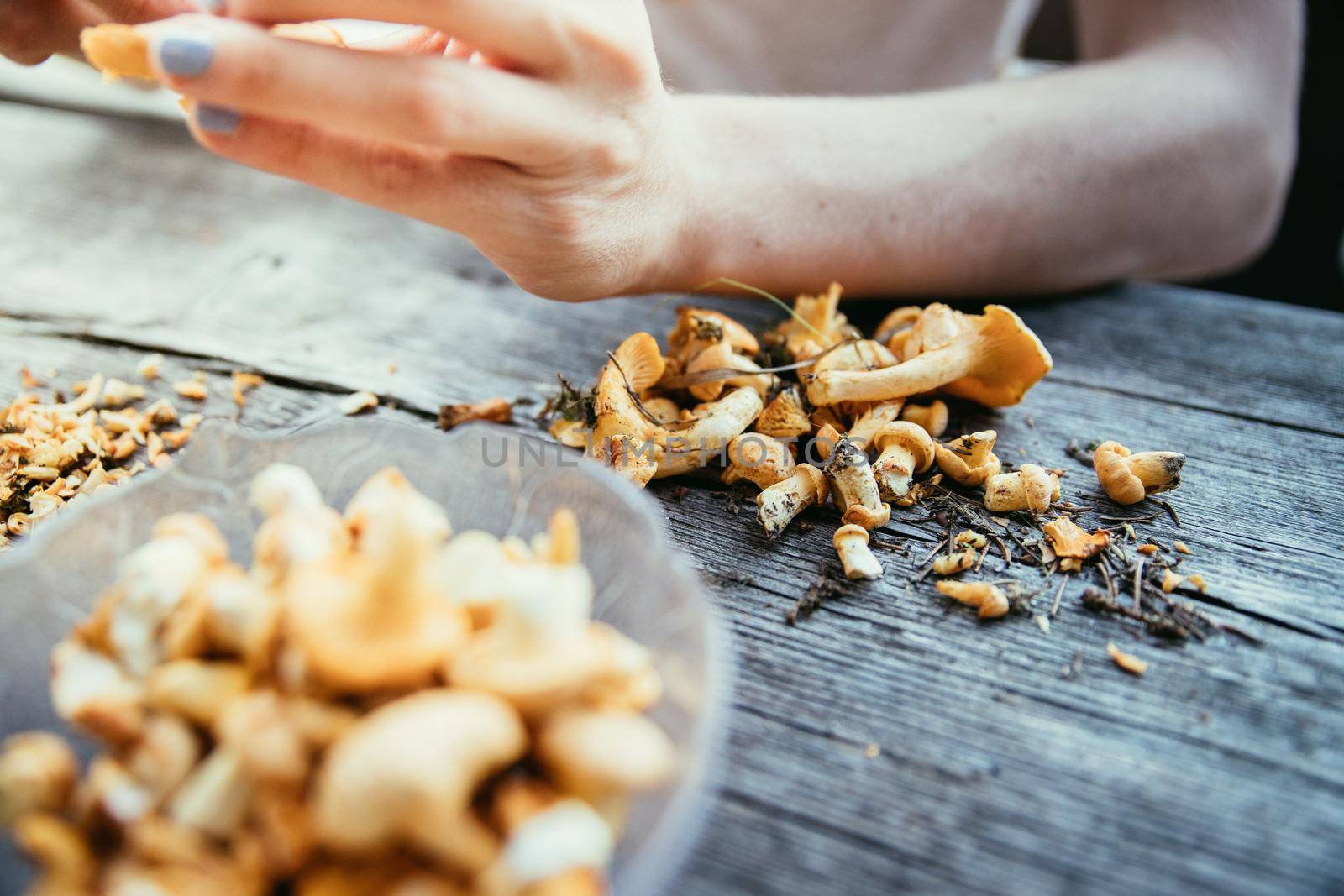 Preparing chanterelle mushrooms on an old rustic wooden table