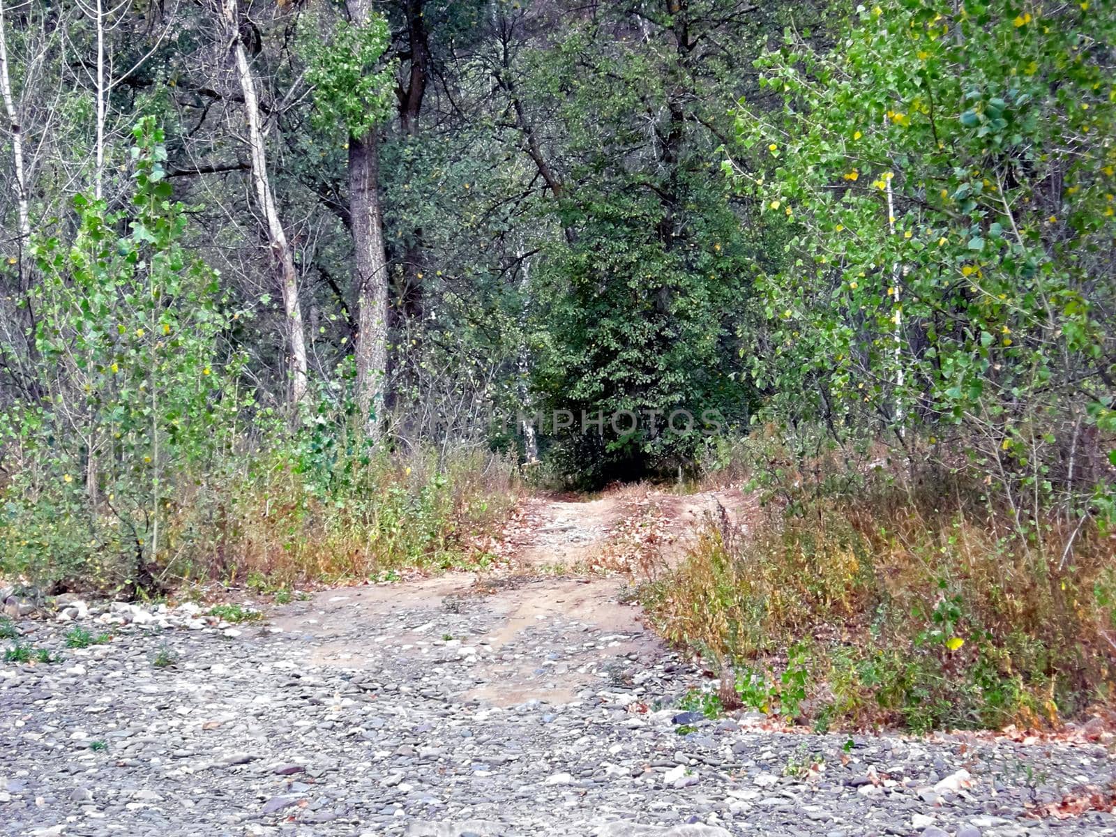 The Beloretsky tract. Nature is in the way of the Beloretsky tract. Roads and landscape.