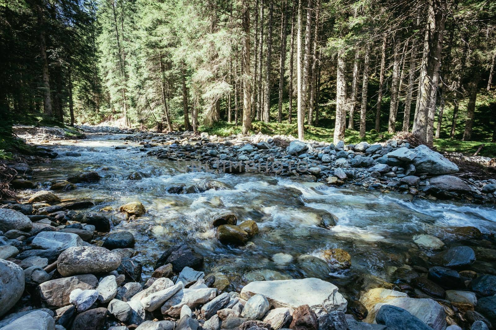 Beautiful river and forest landscape in the Alps, Austria