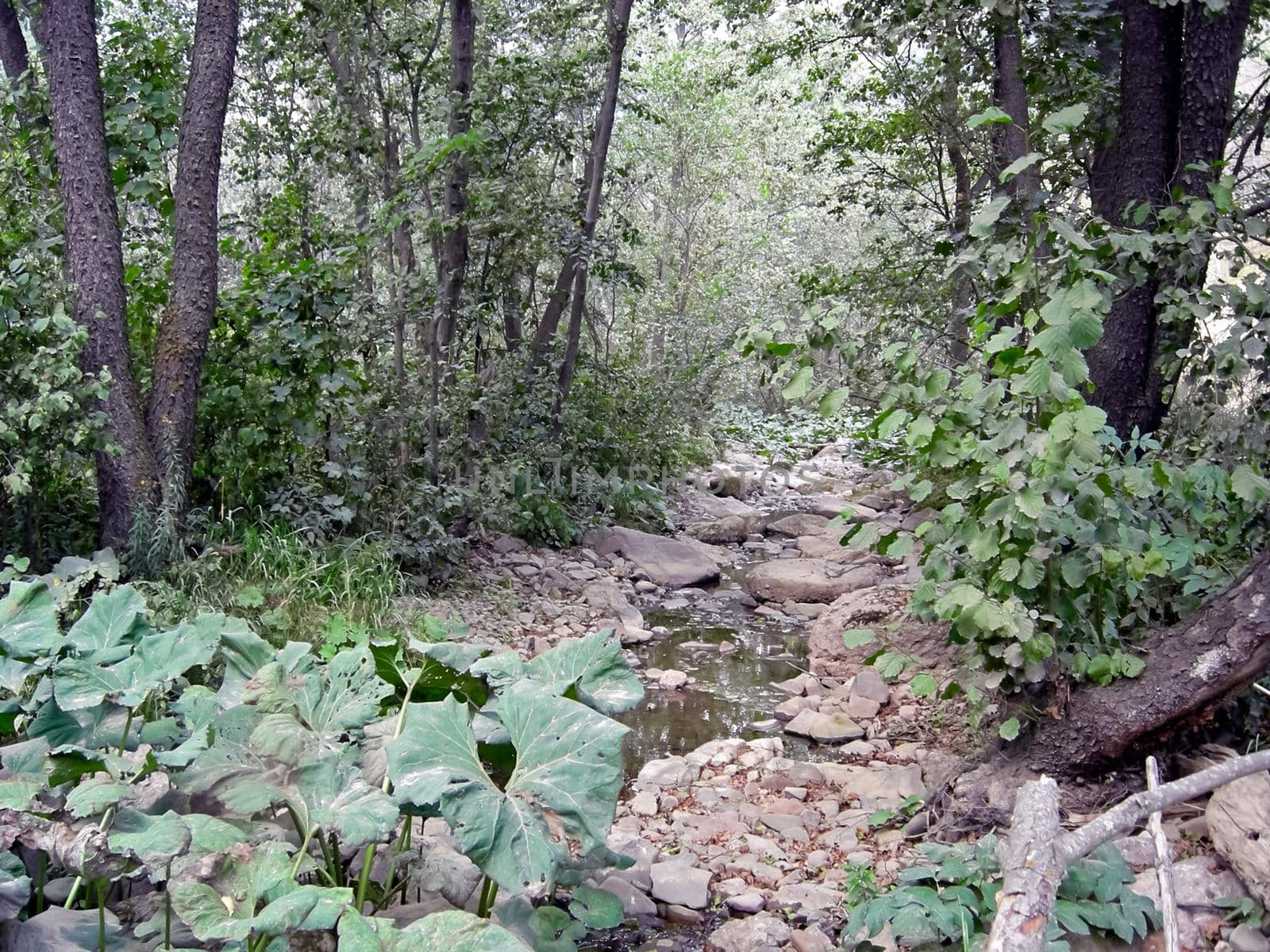 The Beloretsky tract. Nature is in the way of the Beloretsky tract. Roads and landscape.