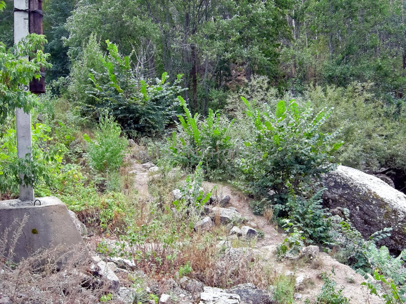 The Beloretsky tract. Nature is in the way of the Beloretsky tract. Roads and landscape.