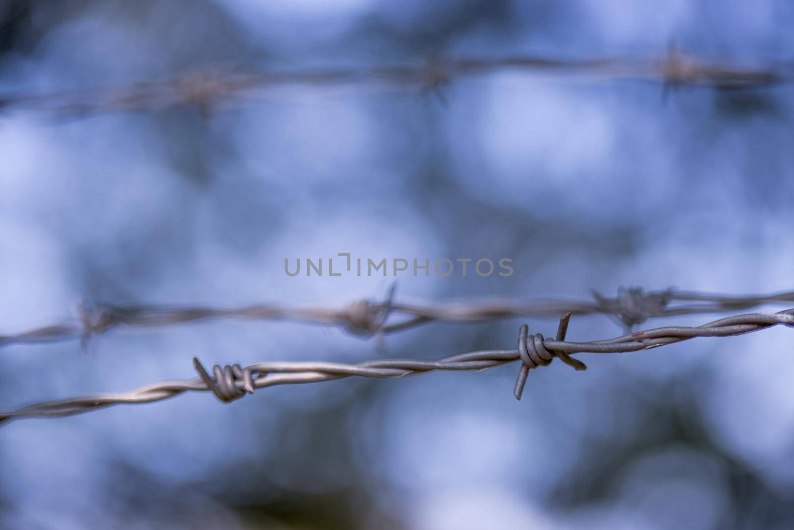 Barbed wire on a metal fence to demarcate the border, closeup, blurry background