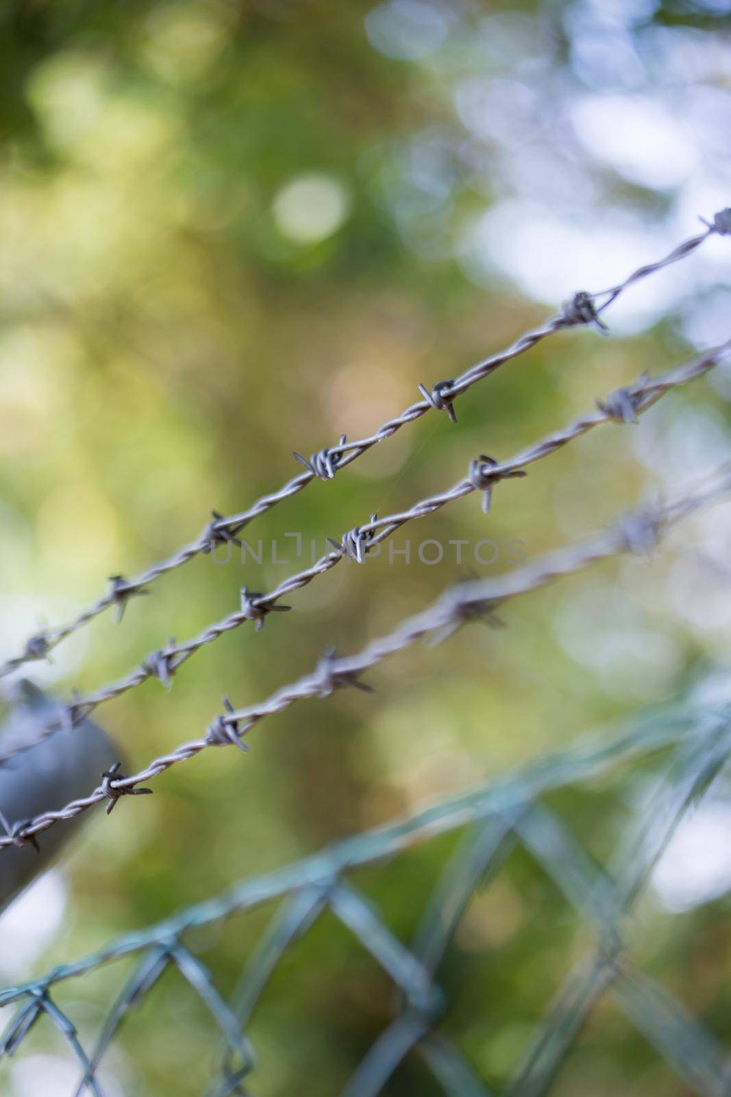 Lines of barbed wire to demarcate the border by Daxenbichler