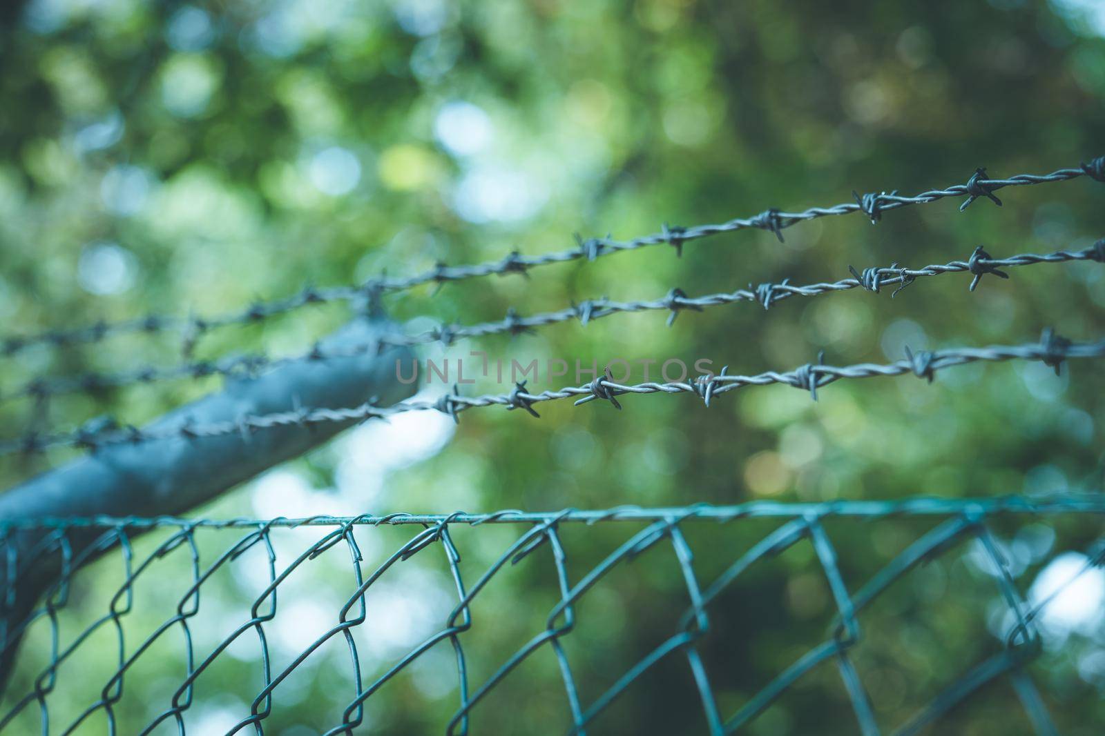 Barbed wire on a metal fence to demarcate the border, closeup, blurry background