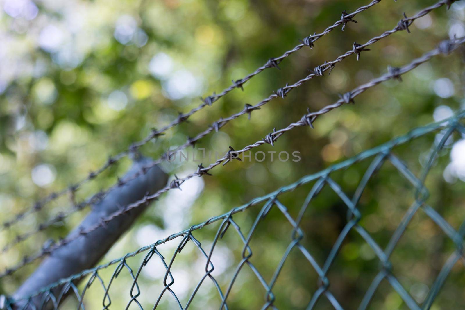 Barbed wire on a metal fence to demarcate the border, closeup, blurry background