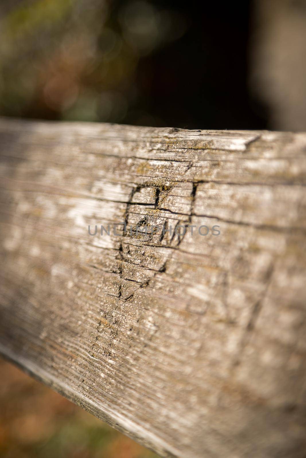 Close up of carved heart on a park bank, autumn