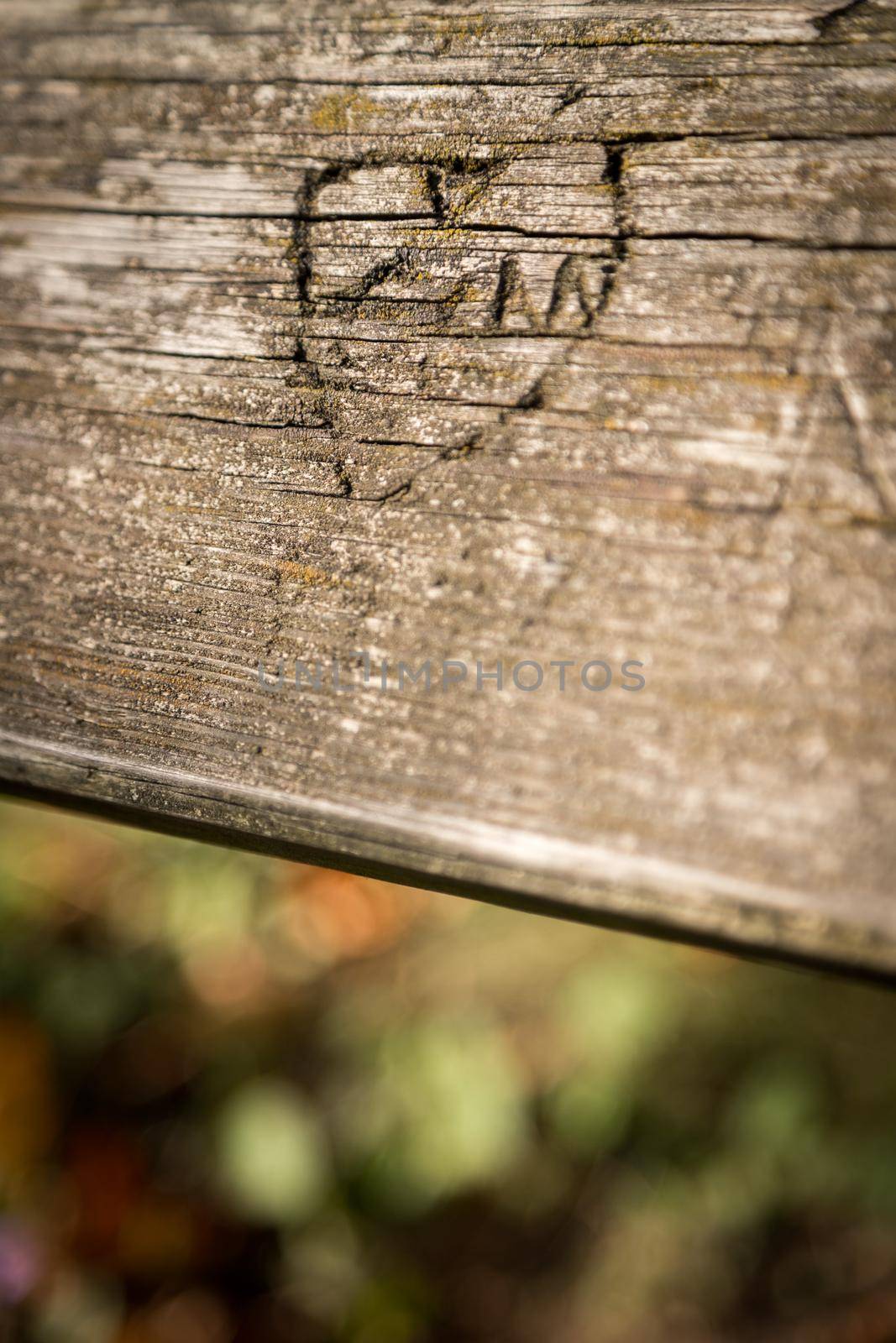 Close up of carved heart on a park bank, autumn