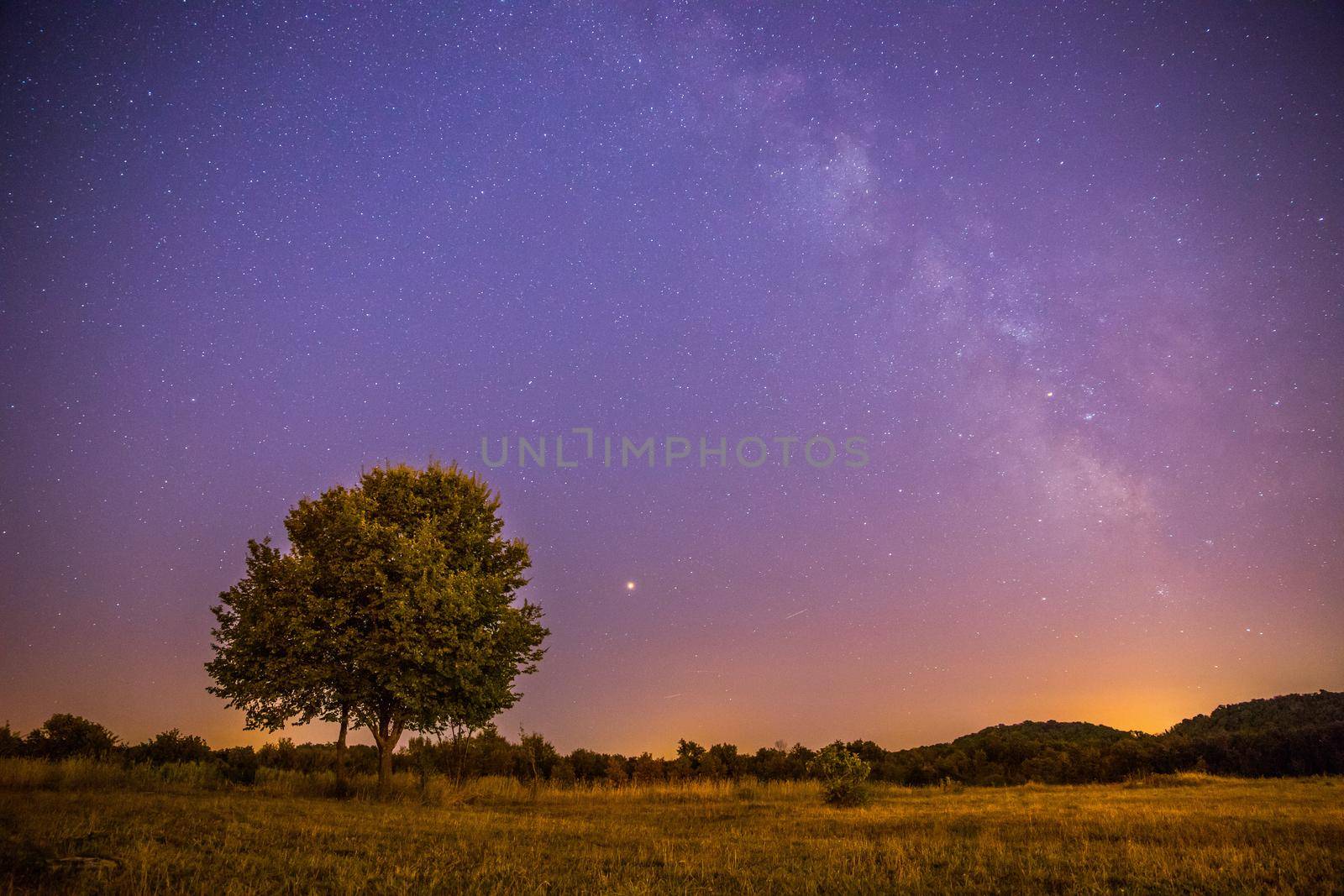Night and stars Landscape: Clear Milky way at night, lonely field and tree by Daxenbichler