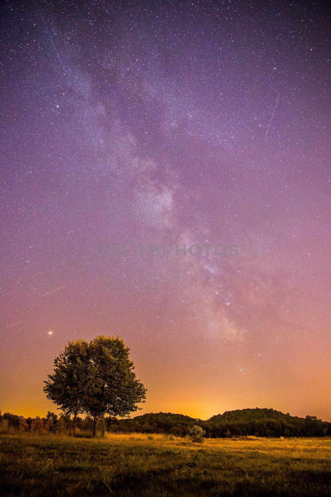 Night and stars Landscape: Clear Milky way at night, lonely field and tree by Daxenbichler