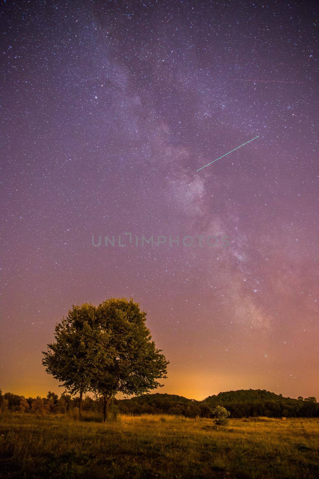 Clear purple sky with stars, lonely field and tree