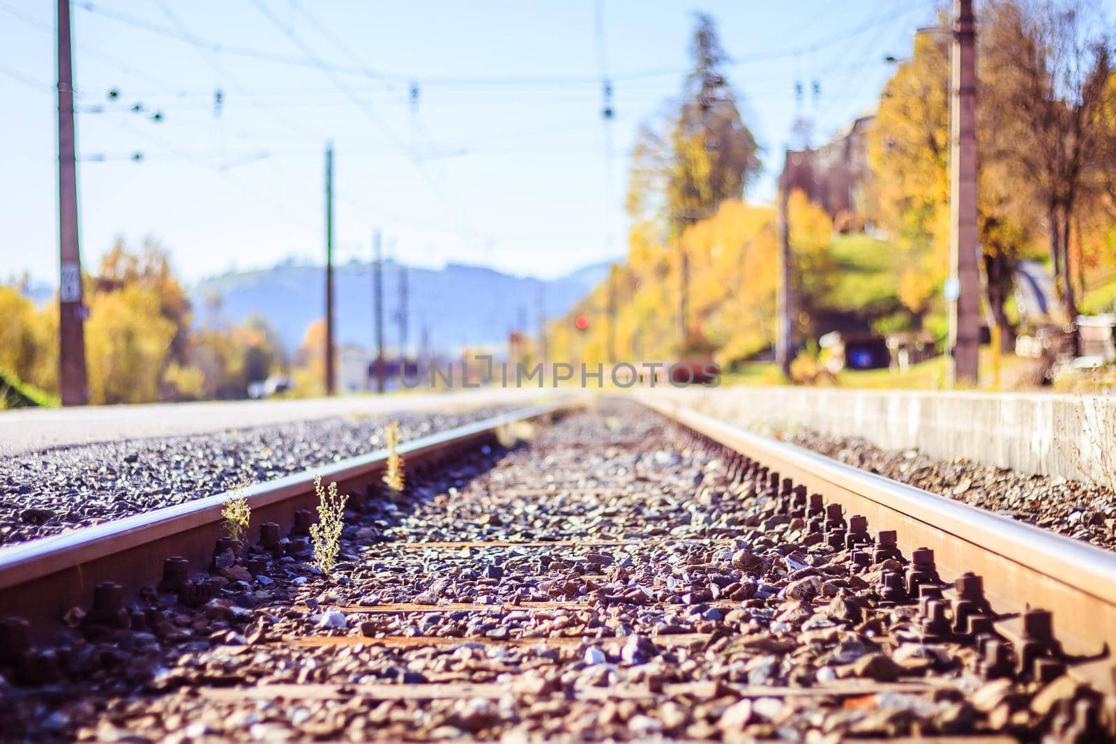 Landscape of an old abandoned railway in fall. Warm light, sustainable traveling