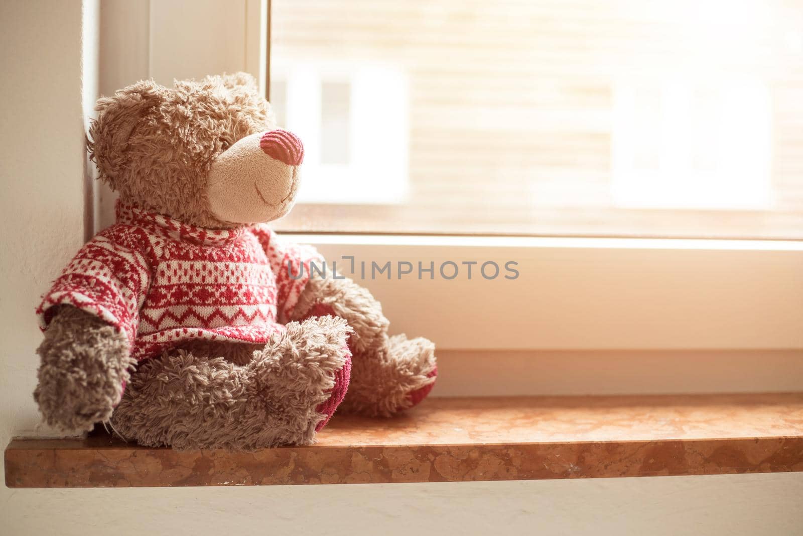 Cute teddy bear is sitting on the windowsill, looking out of the window