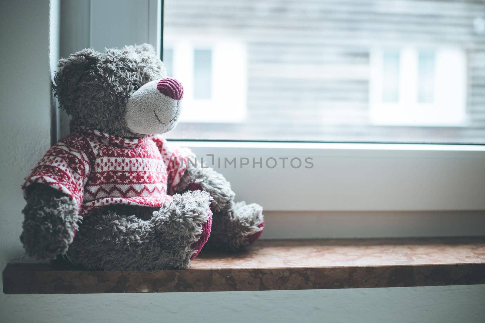 Cute teddy bear is sitting on the windowsill, looking out of the window