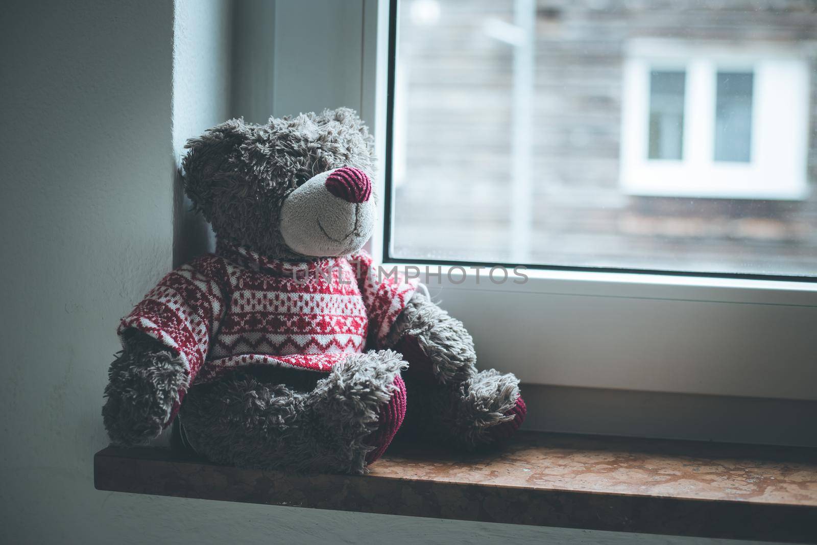 Cute teddy bear is sitting on the windowsill, looking out of the window