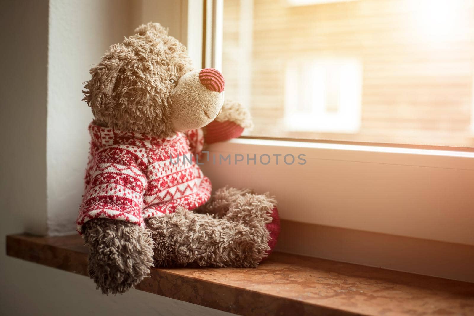 Cute teddy bear is sitting on the windowsill, looking out of the window, sunlight