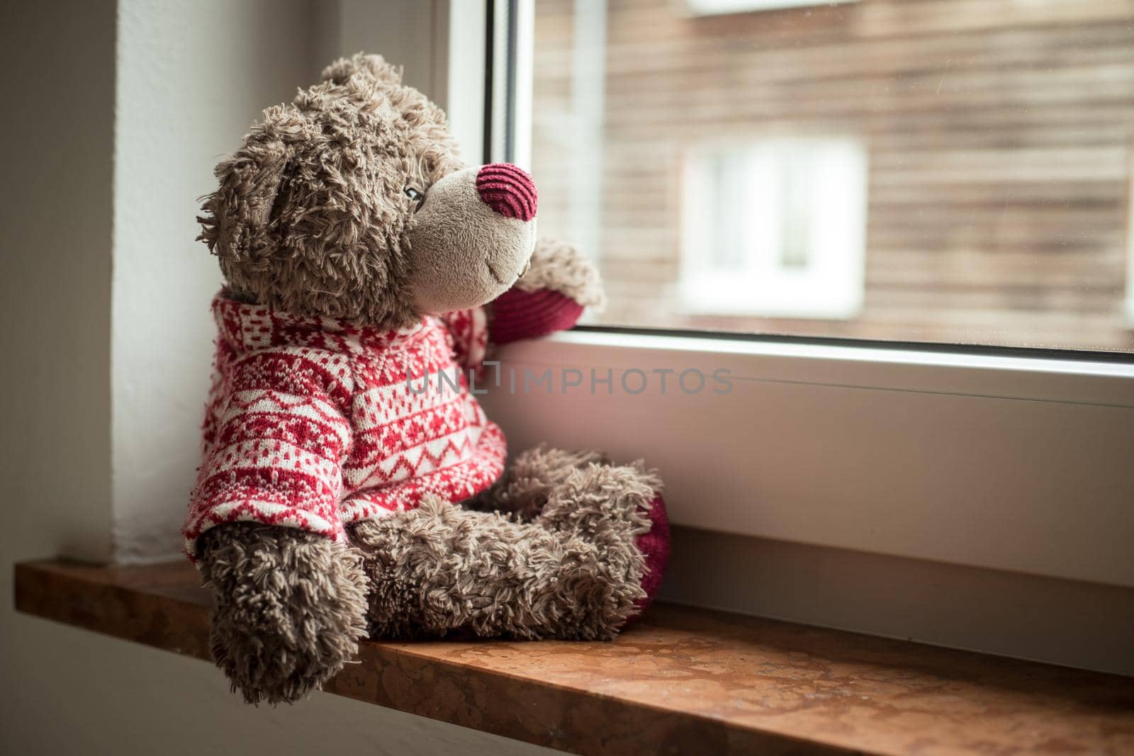 Cute teddy bear is sitting on the windowsill, looking out of the window