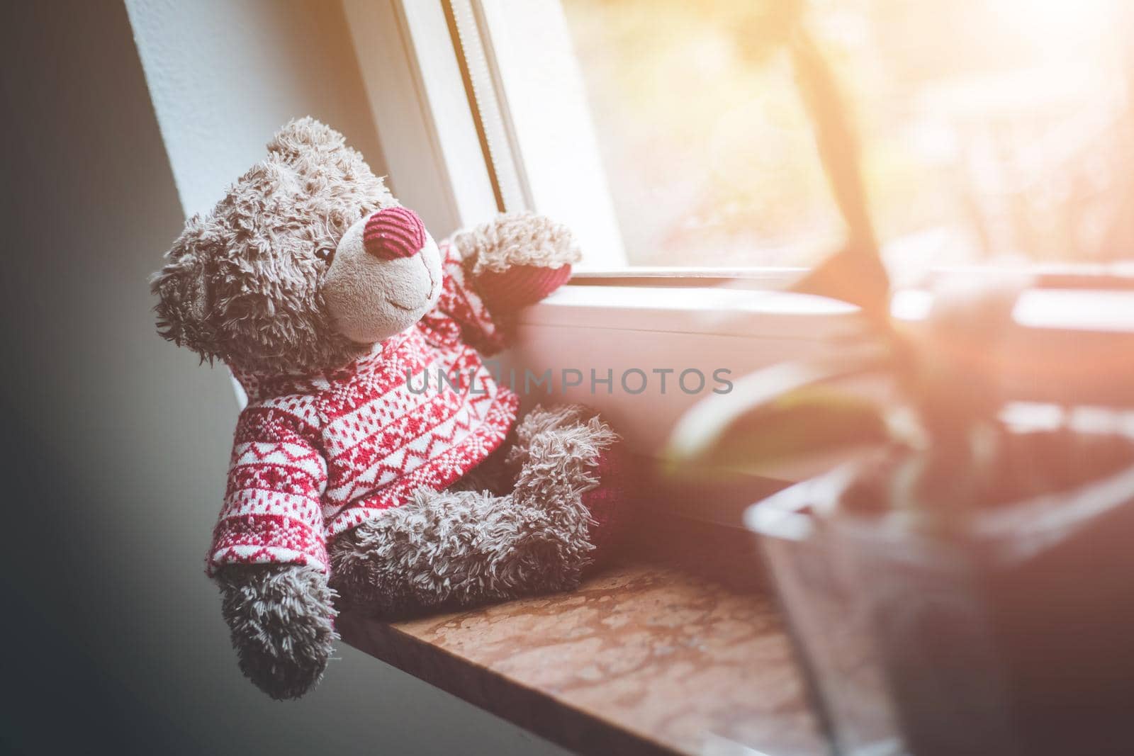 Cute teddy bear is sitting on the windowsill, looking out of the window, sunlight
