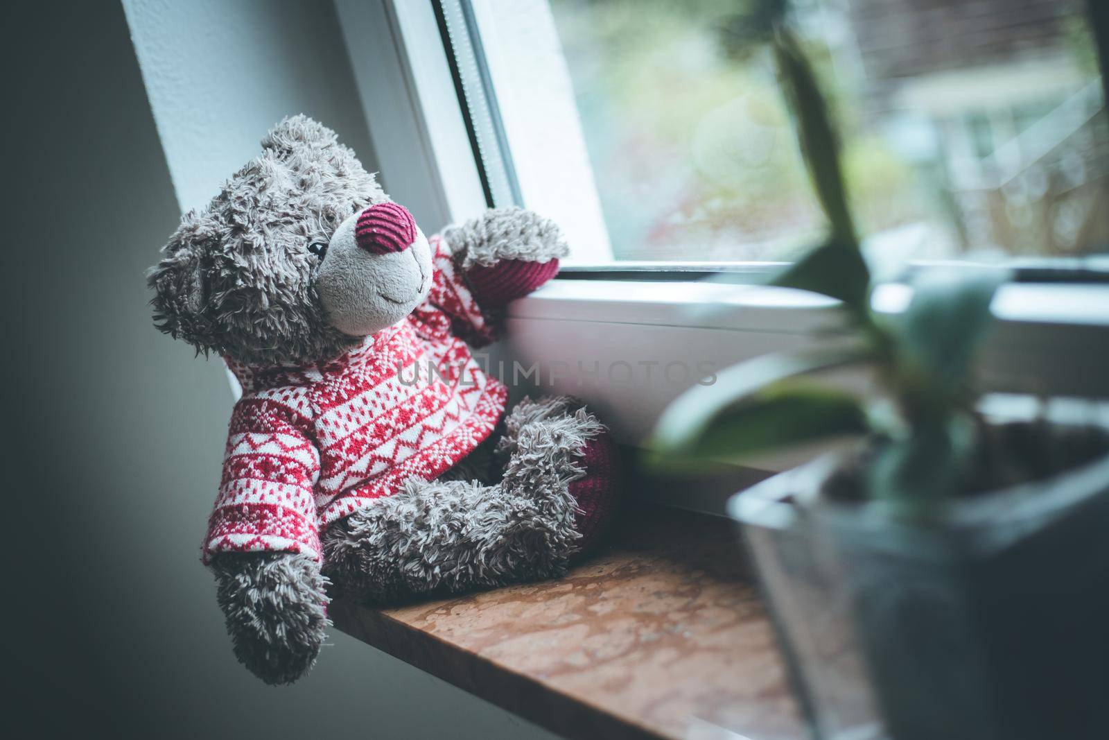 Cute teddy bear is sitting on the windowsill, looking out of the window