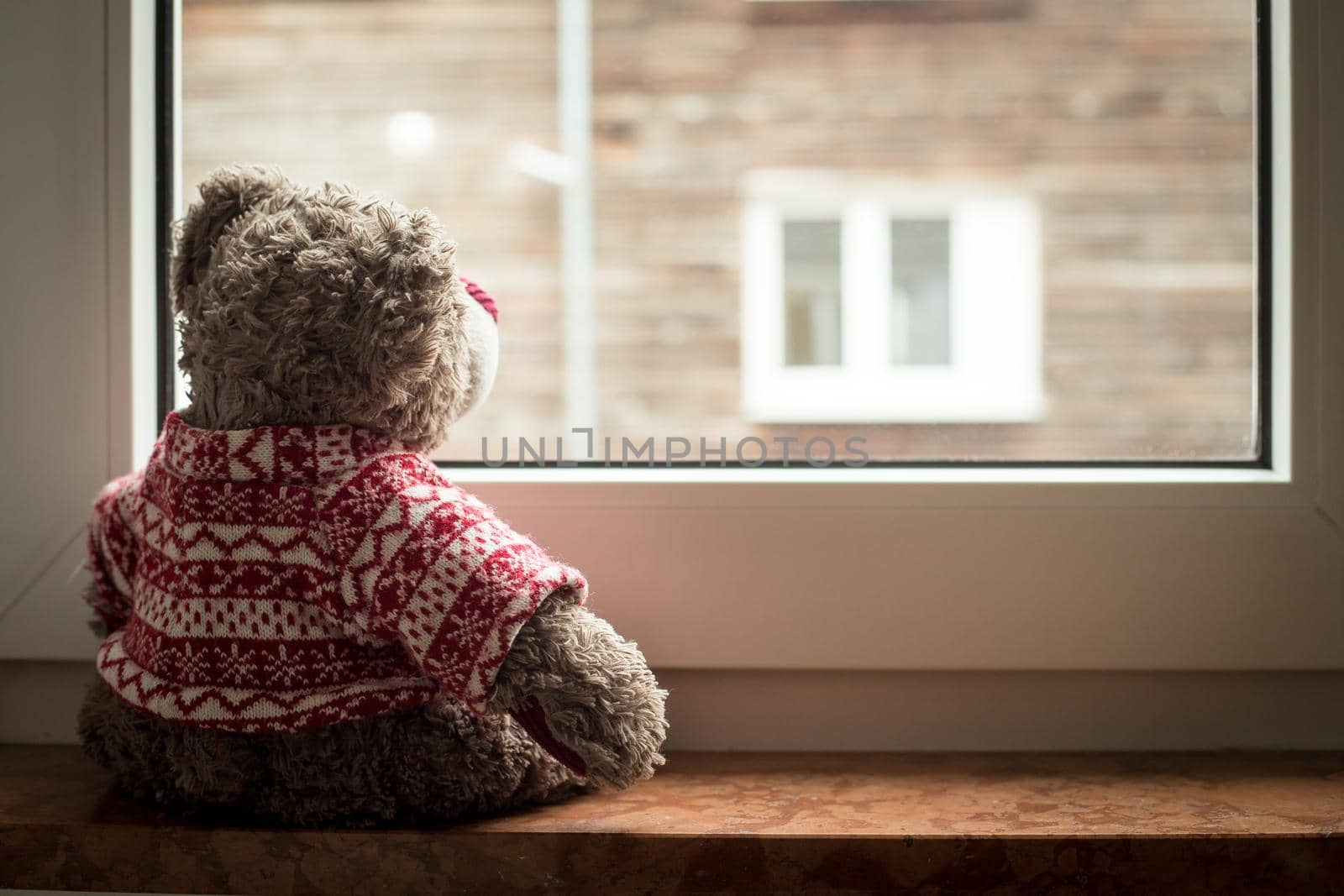 Cute teddy bear is sitting on the windowsill, looking out of the window