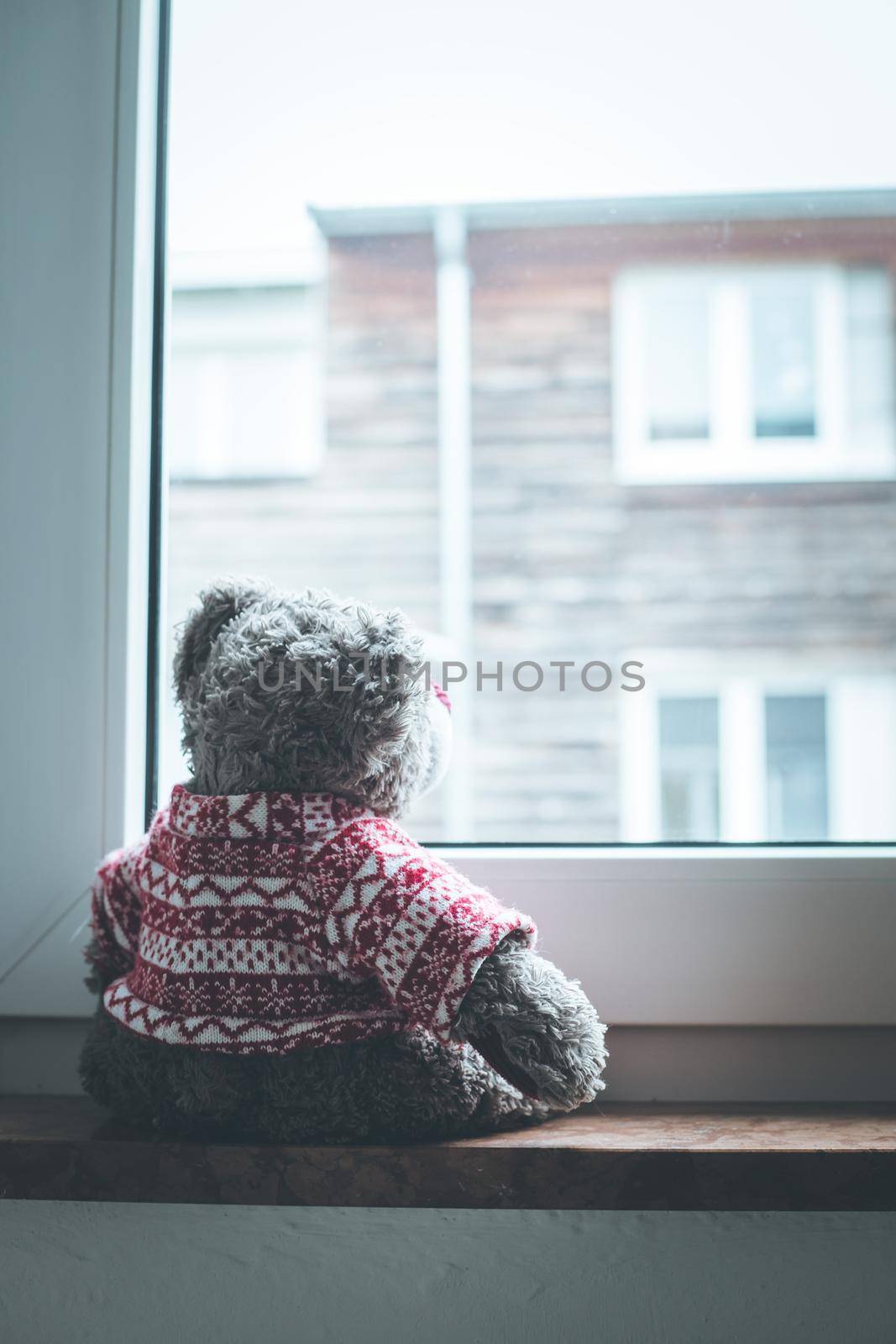 Cute teddy bear is sitting on the windowsill, looking out of the window