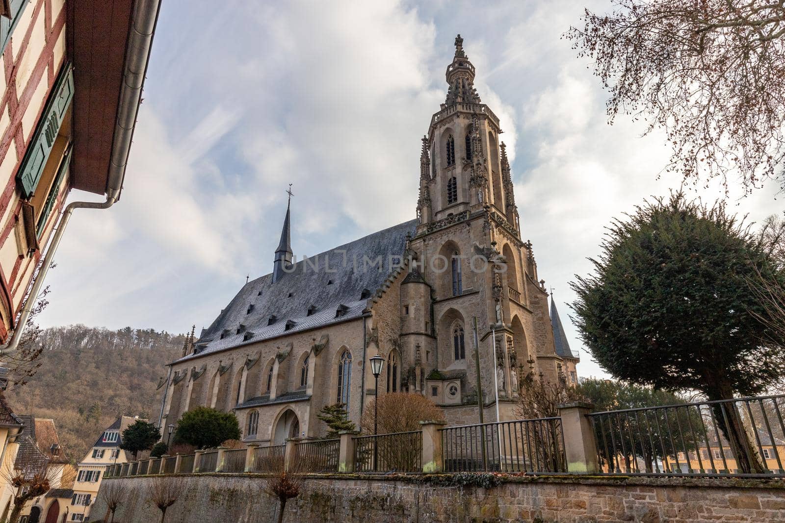 Wide angle view at the Schlosskirche in Meisenheim