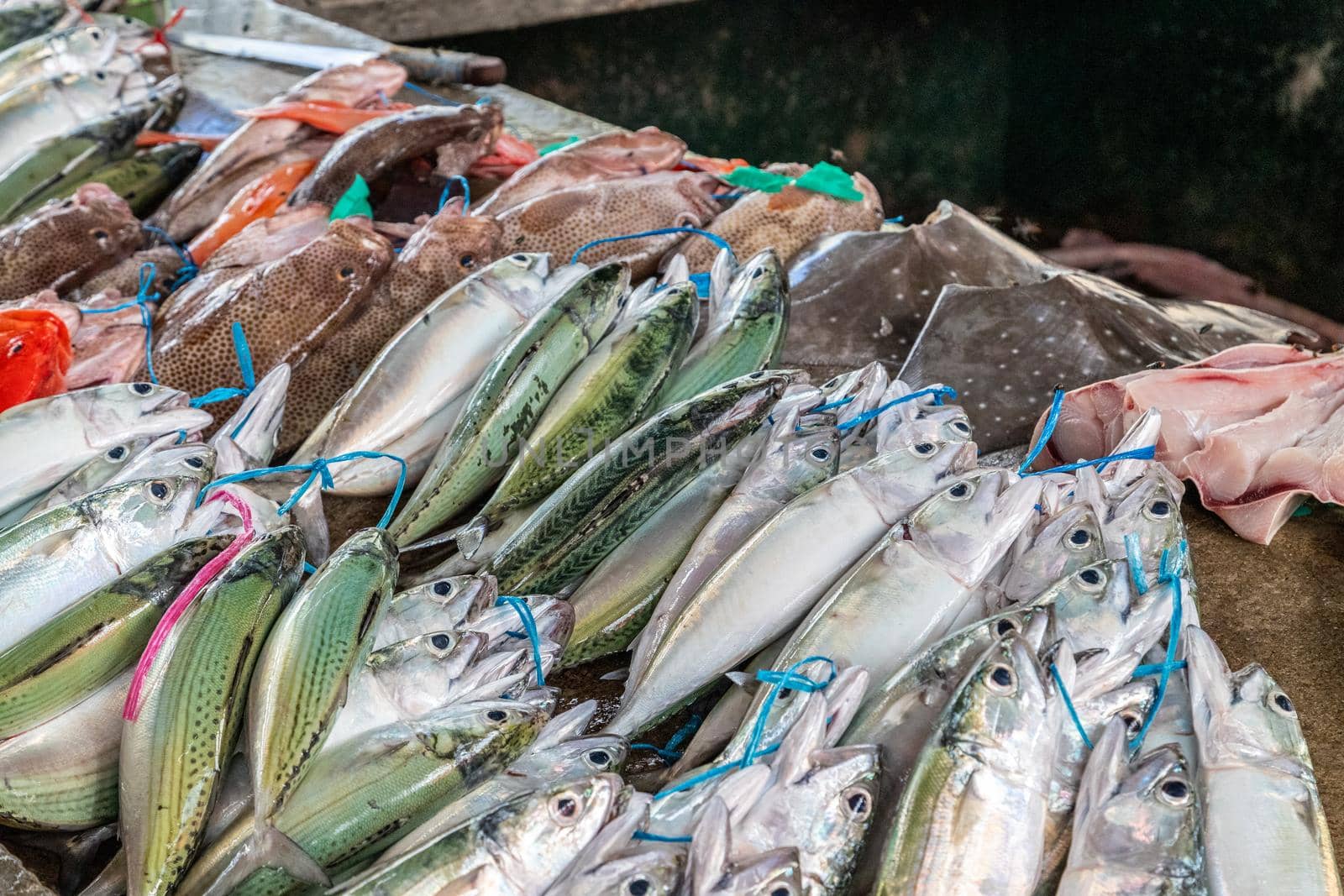 Fish on a market in Victoria, Seychelles by reinerc