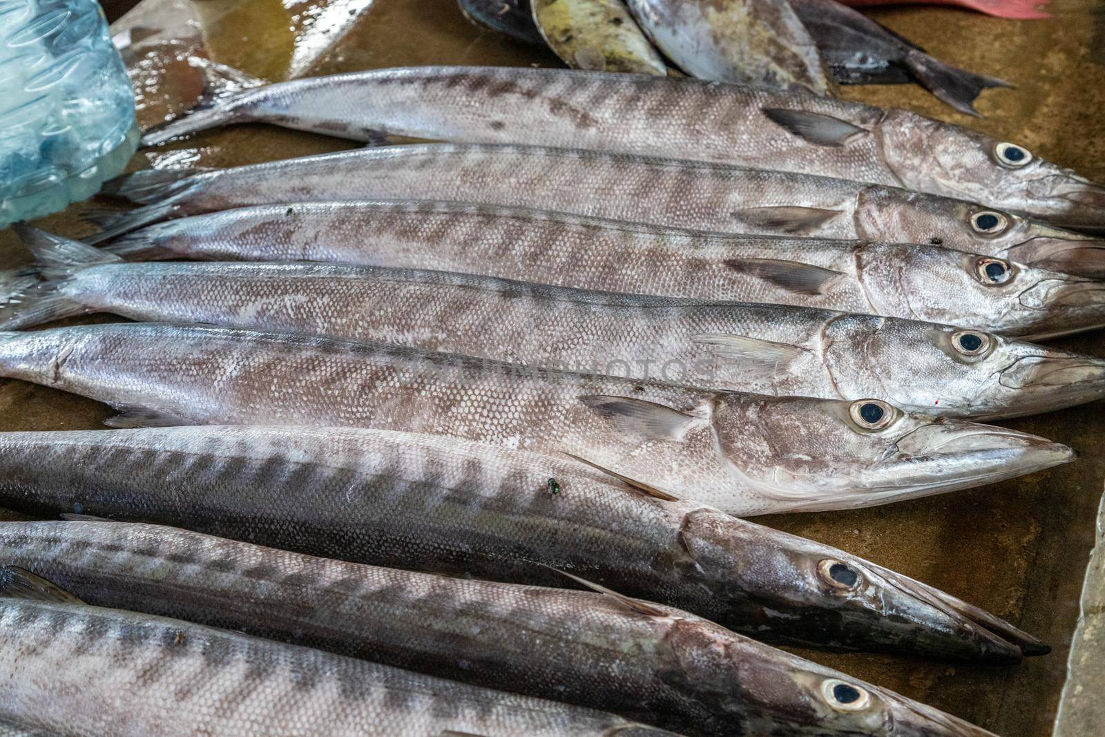 Fish on a market in Victoria, Seychelles by reinerc