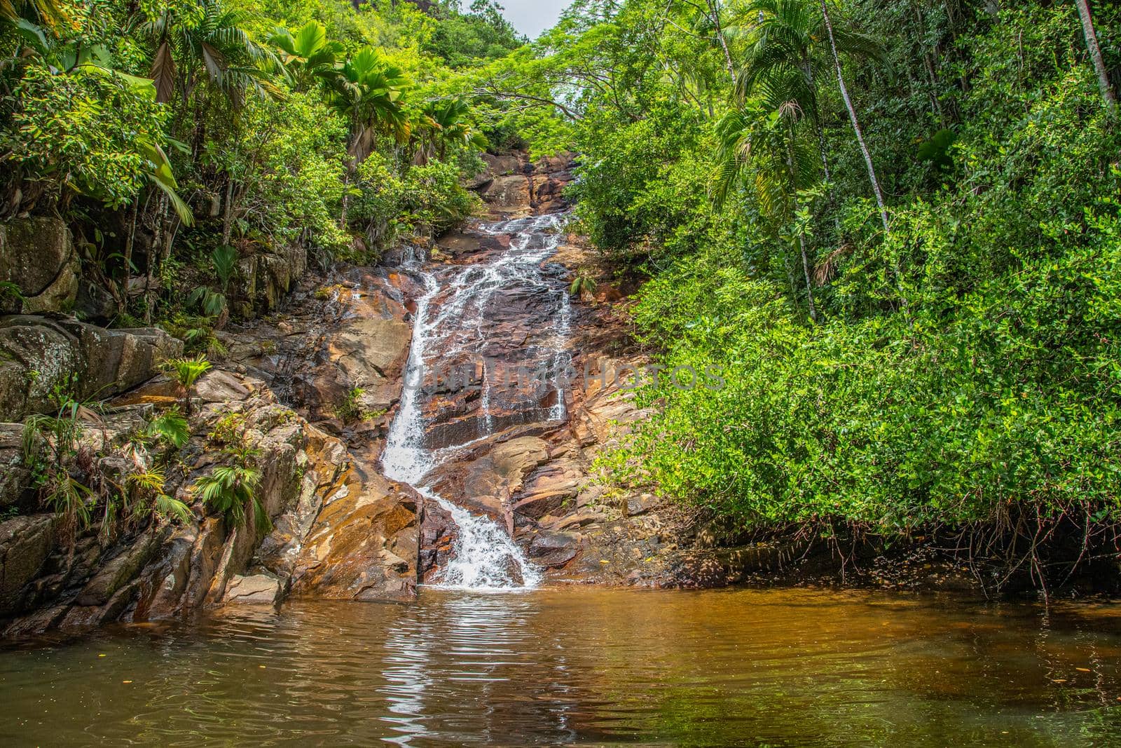 Landscape with waterfall on Seychelles island Mahé by reinerc