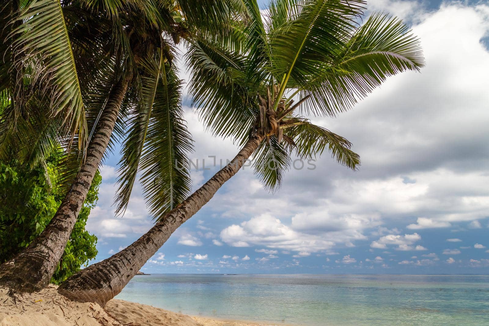 Paradise beach anse royale on Seychelles island Mahé with turguoise water, palms, white sand and granite rocks