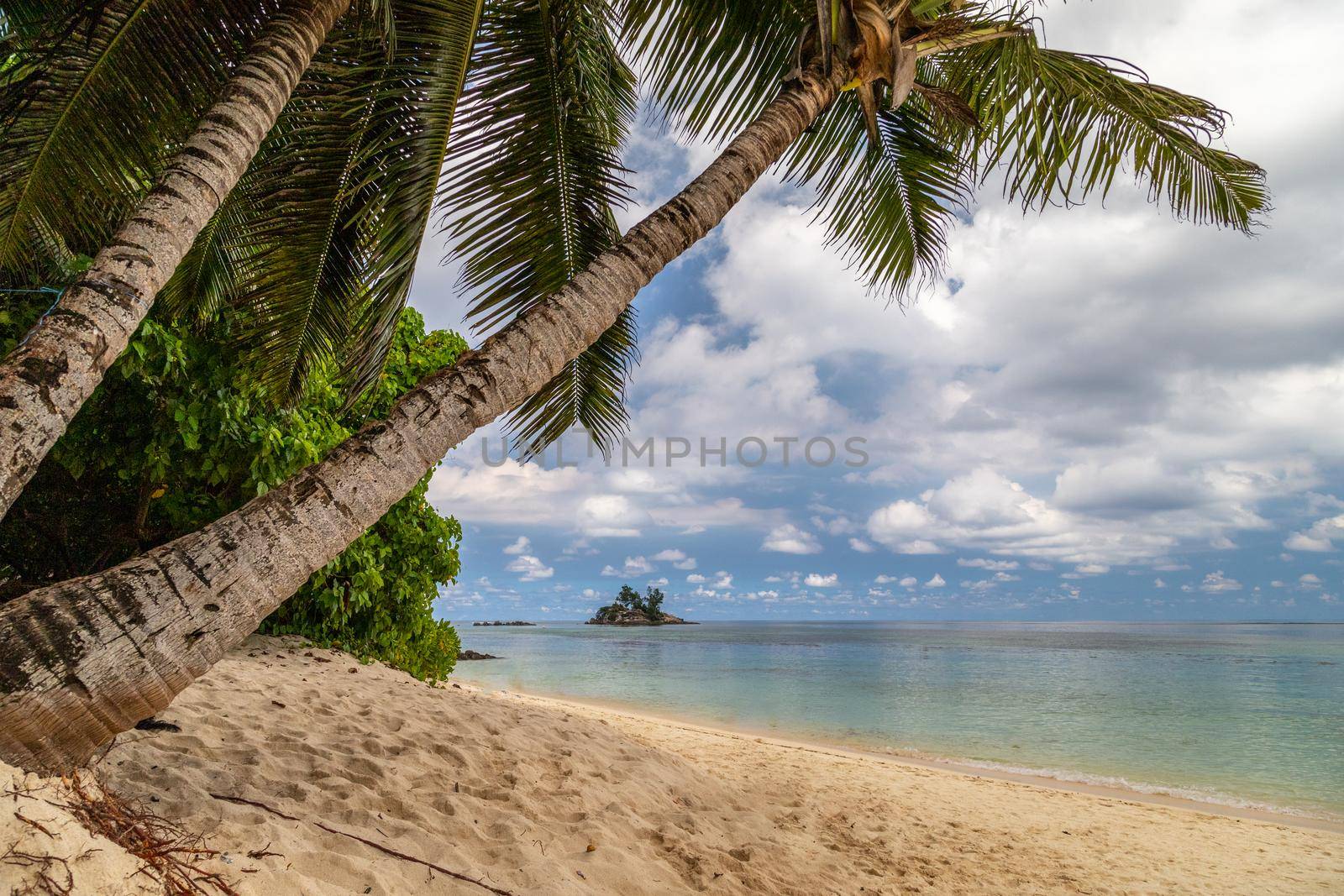 Paradise beach anse royale on Seychelles island Mahé with turguoise water, palms, white sand and granite rocks