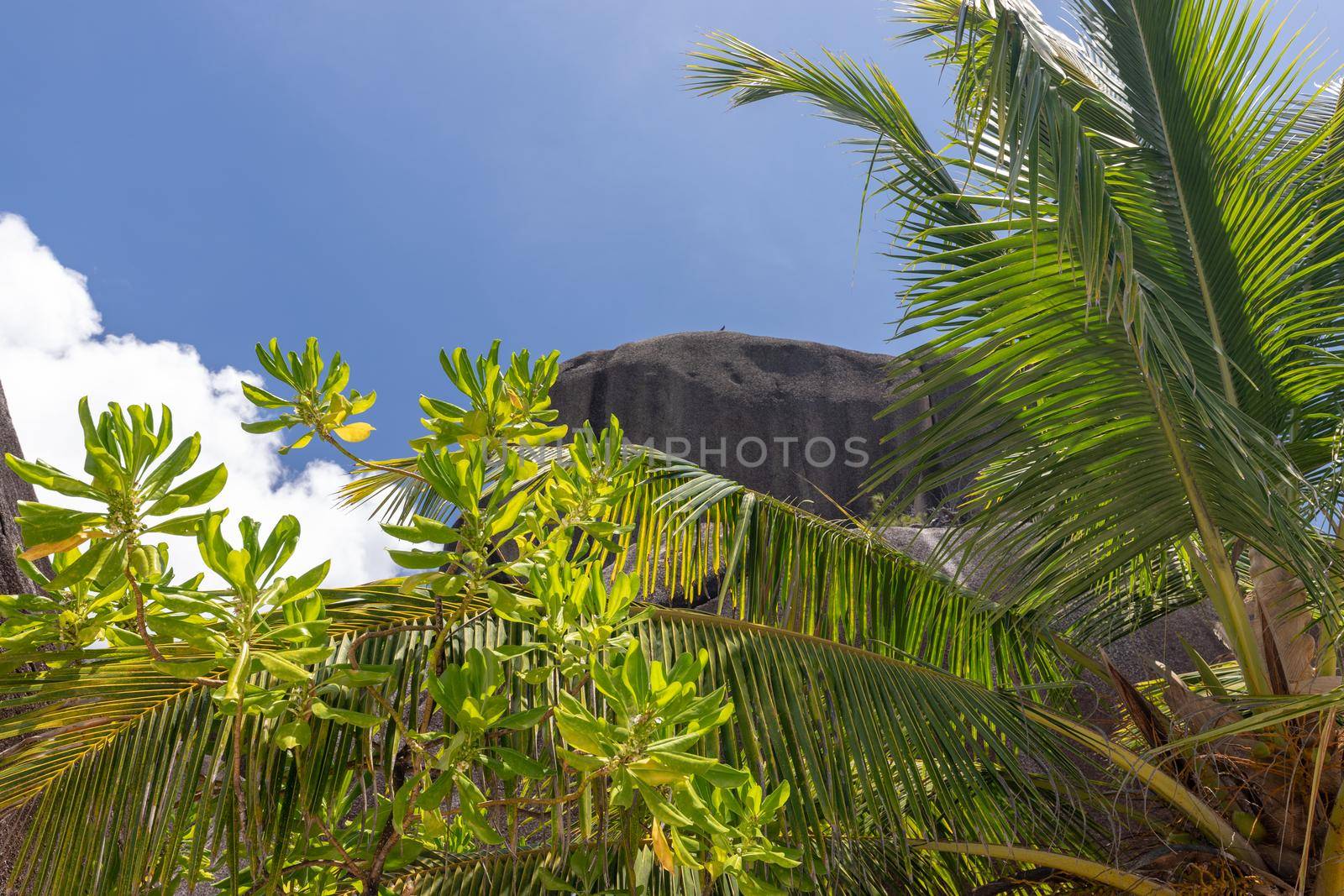 Beautiful beach Anse Source D'Argent on Seychelles island La Digue with white sand, blue water, granite rocks on the beach and blue sky with white clouds