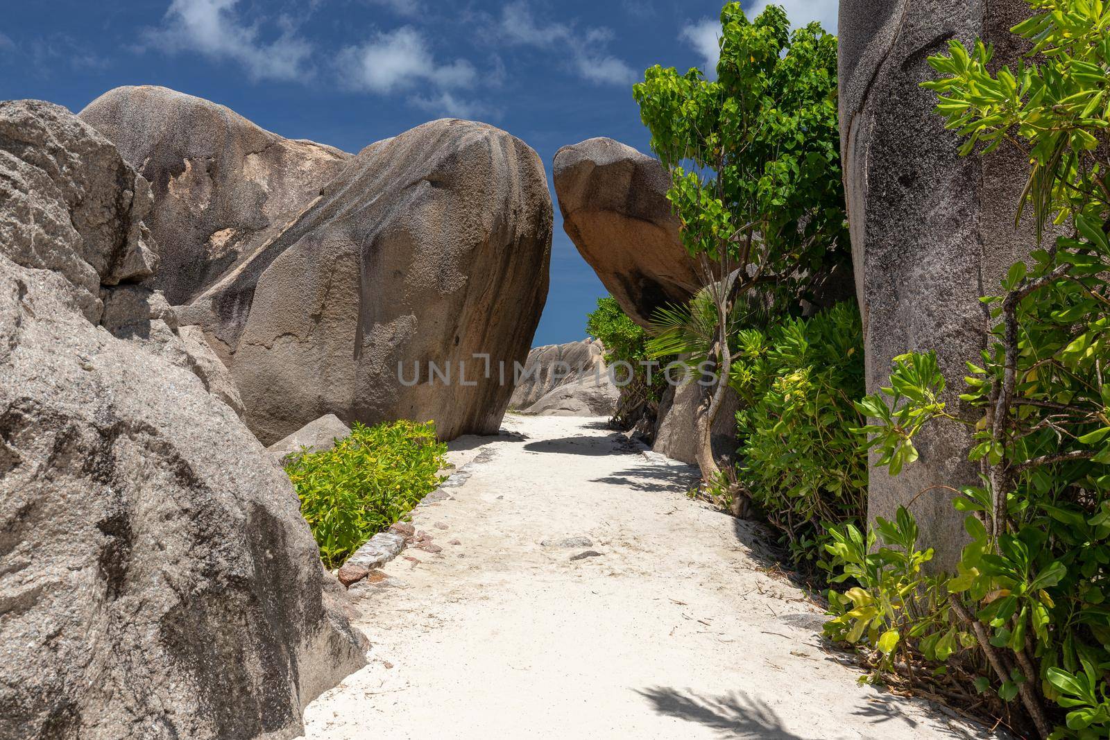 Paradise beach on Seychelles island La Digue by reinerc