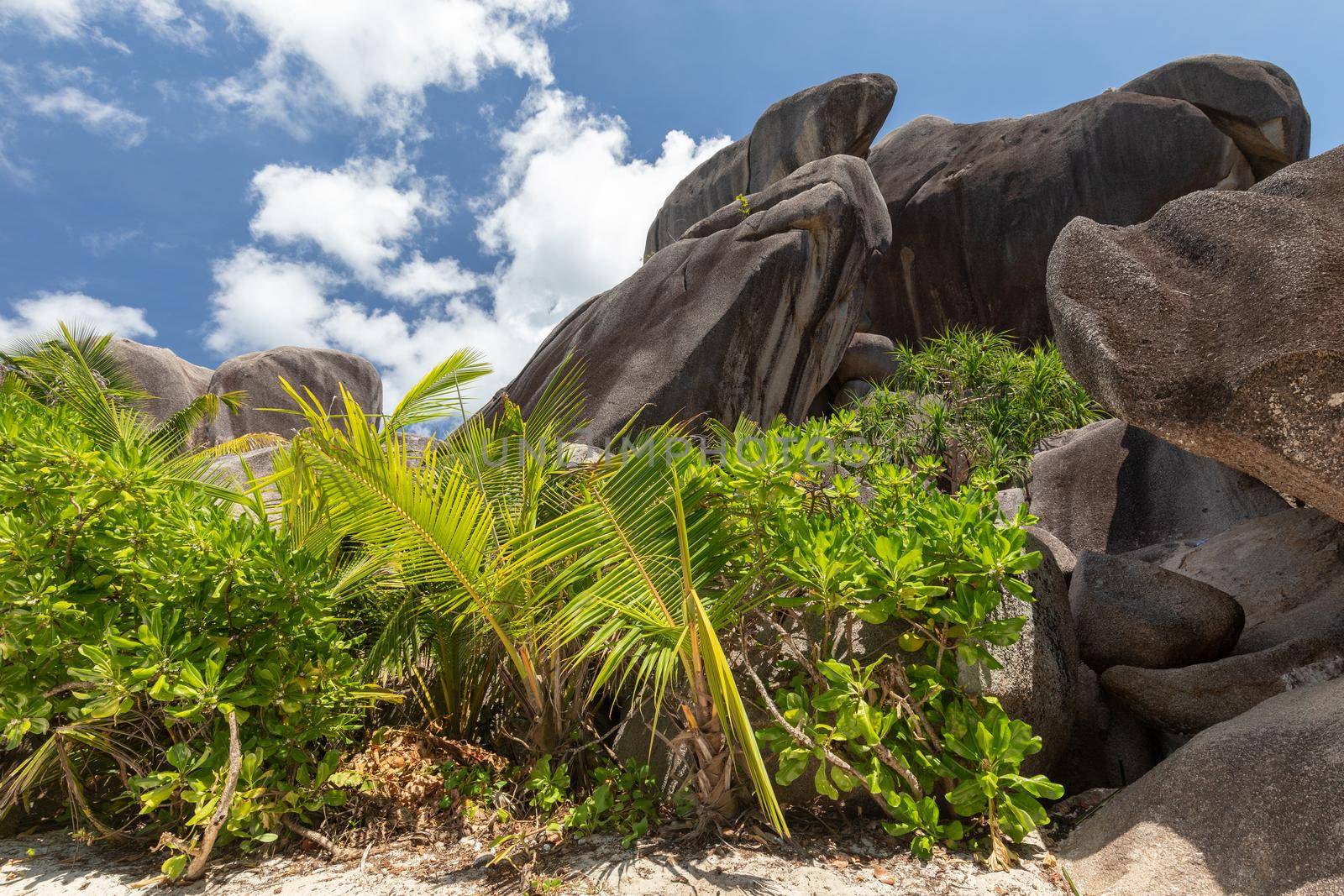 Paradise beach on Seychelles island La Digue by reinerc