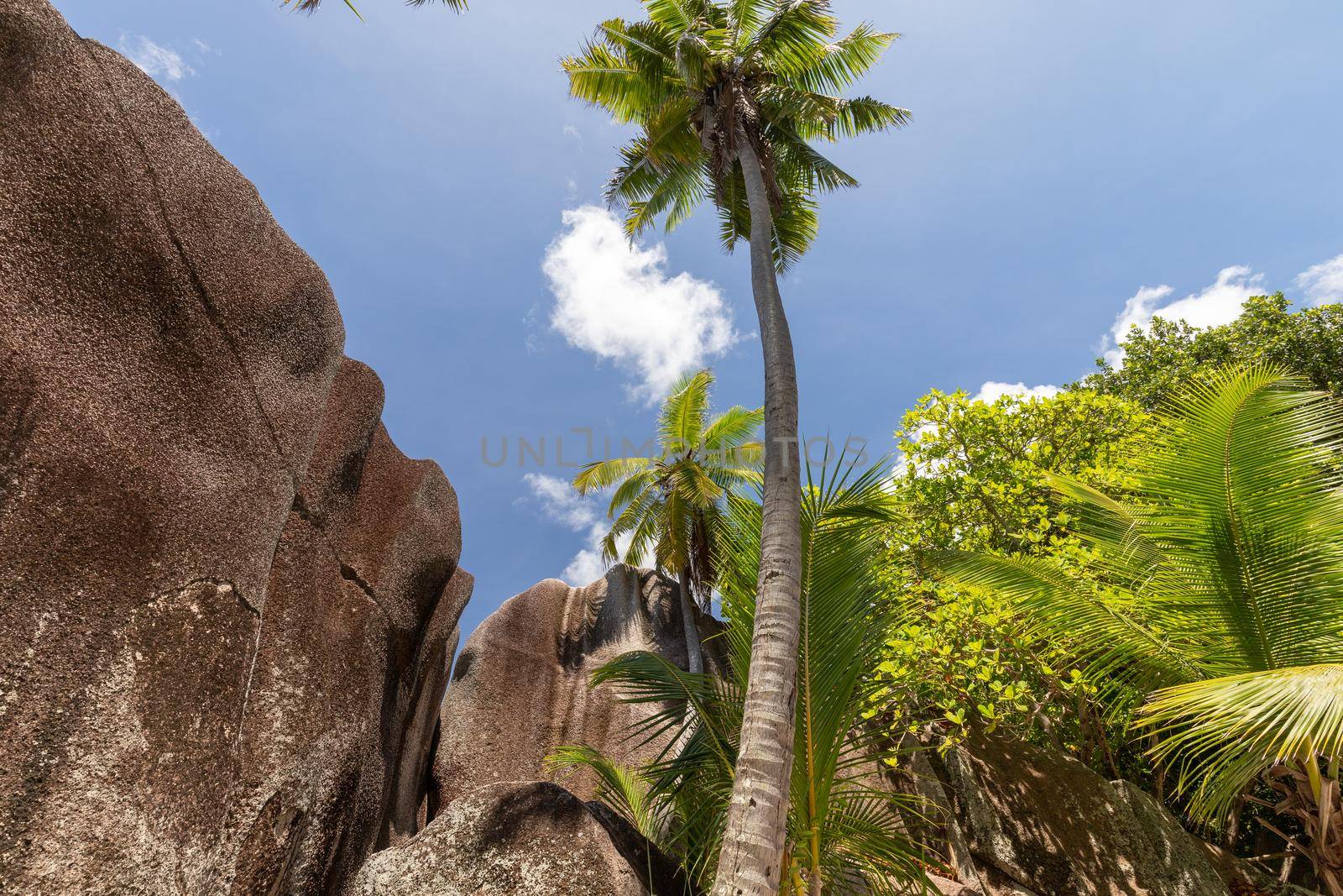 Paradise beach on Seychelles island La Digue by reinerc