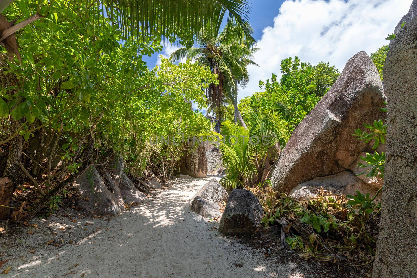 Beautiful beach Anse Source D'Argent on Seychelles island La Digue with white sand, Palm trees, granite rocks on the beach and blue sky with white clouds