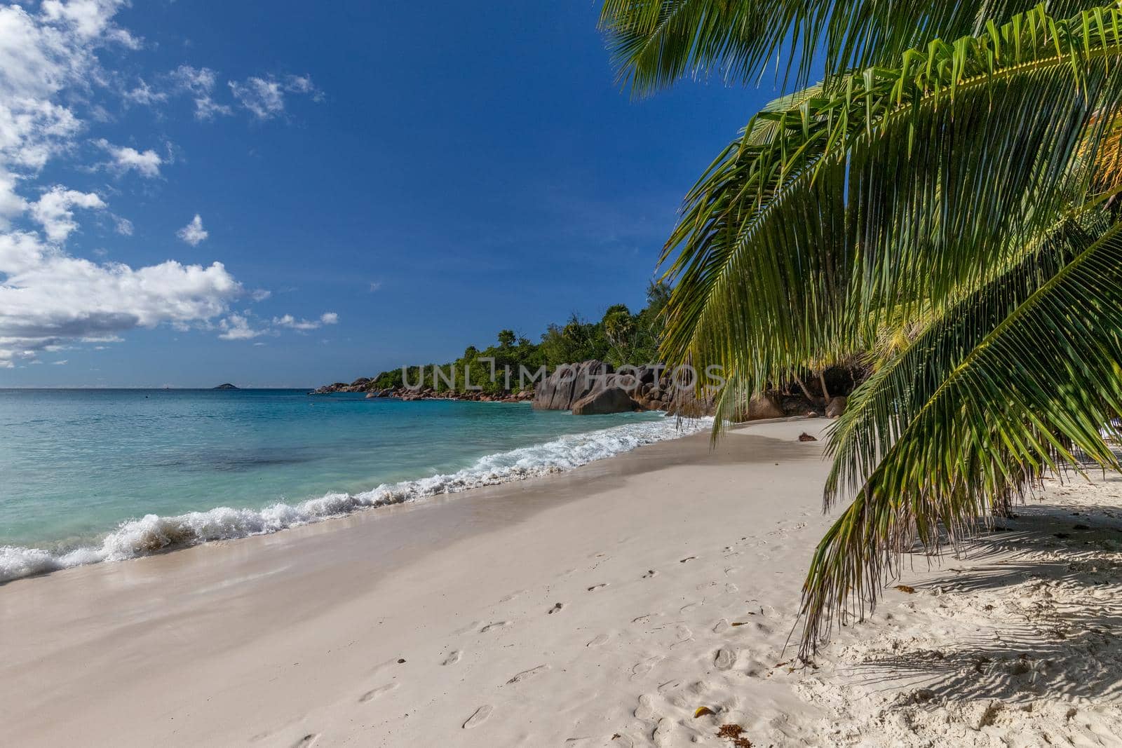 Paradise beach with white sand, palms, rocks, turqoise water on Seychelles island Praslin