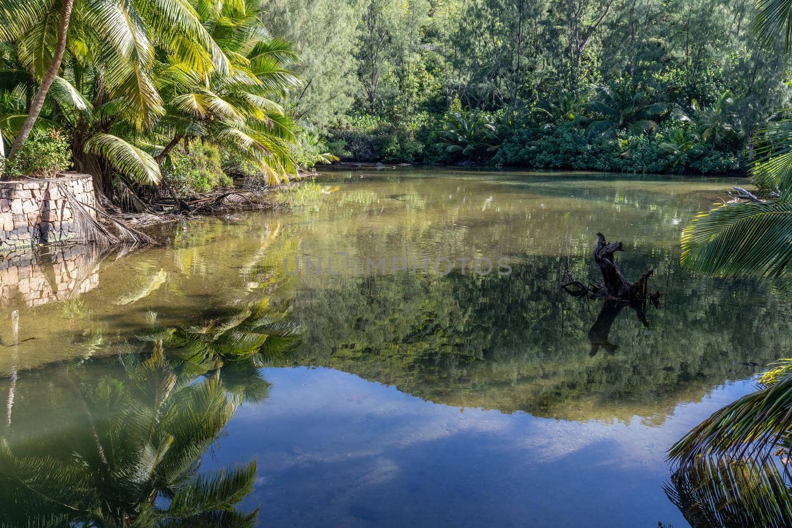 Landscape with water relection on Seychelles island Praslin