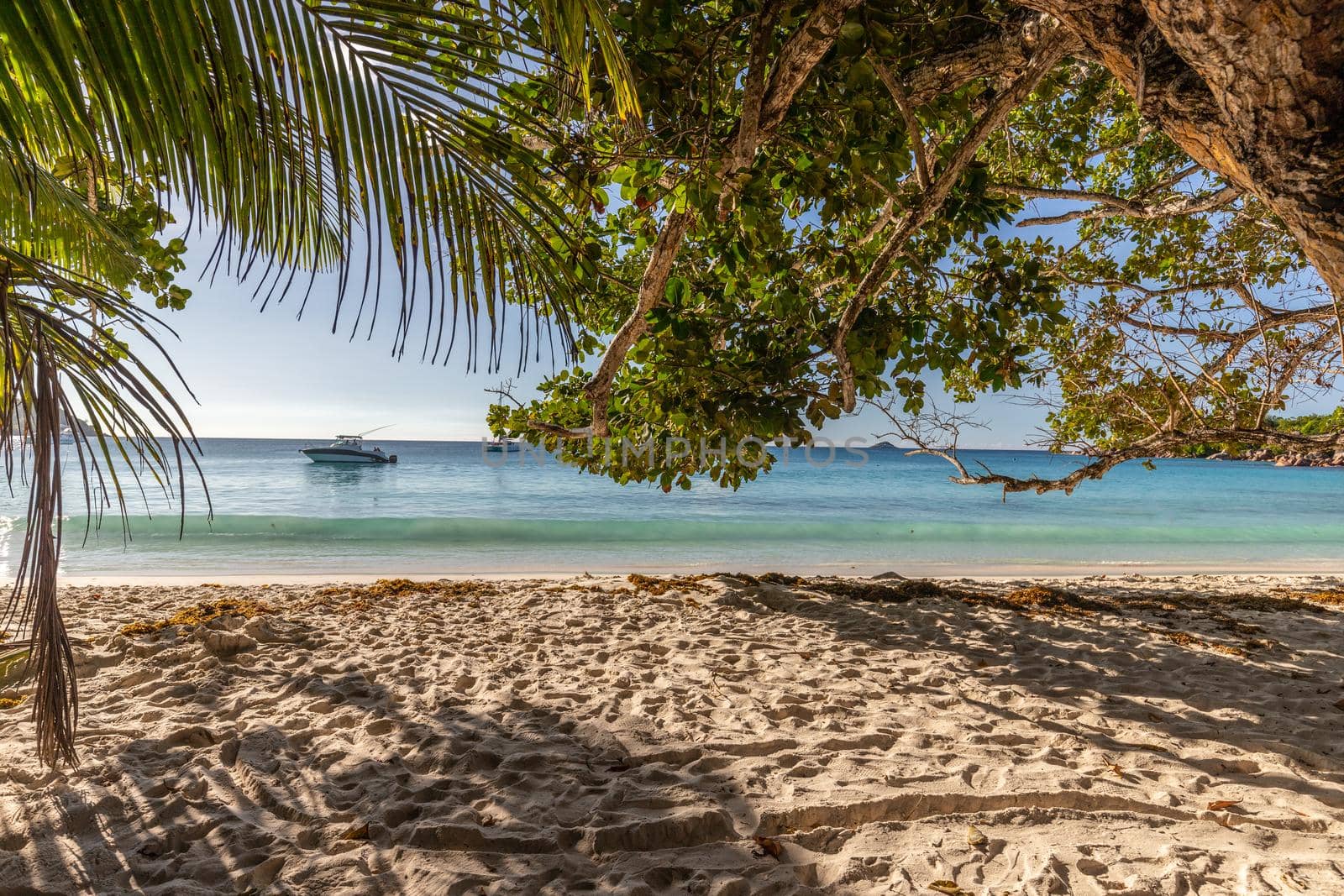 Beach on Seychelles island Praslin by reinerc