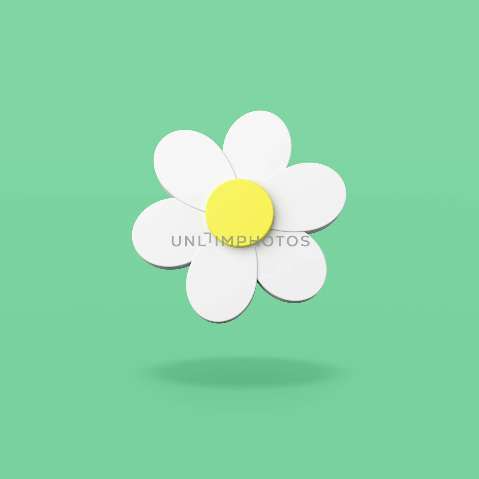 White Daisy Flower 3D Shape on Flat Green Background with Shadow 3D Illustration