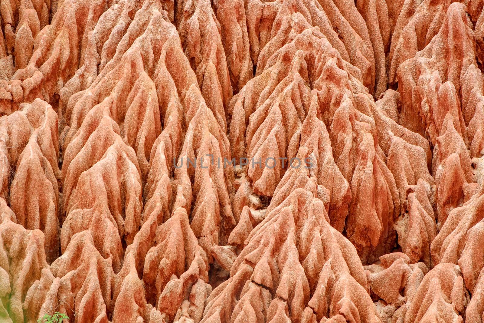 Sandstone formations and needles in Tsingy Rouge Park in Madagascar by reinerc