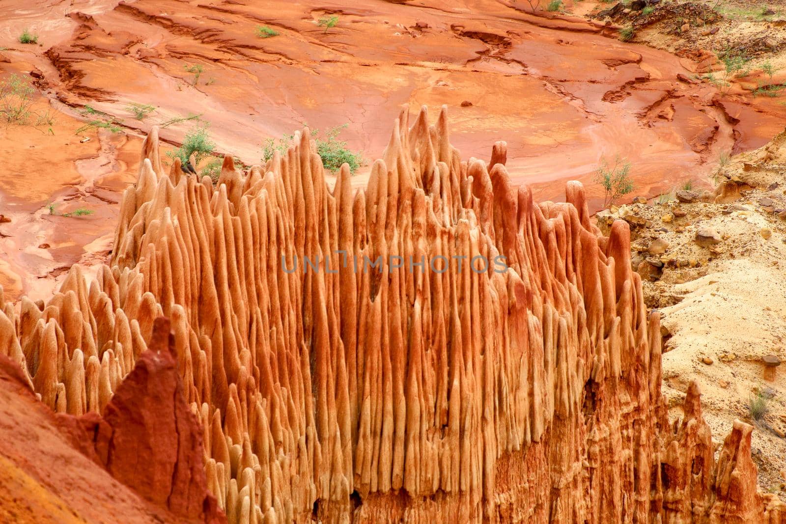 Red sandstone formations  and needles (Tsingys) in Tsingy Rouge Park in Madagascar, Africa