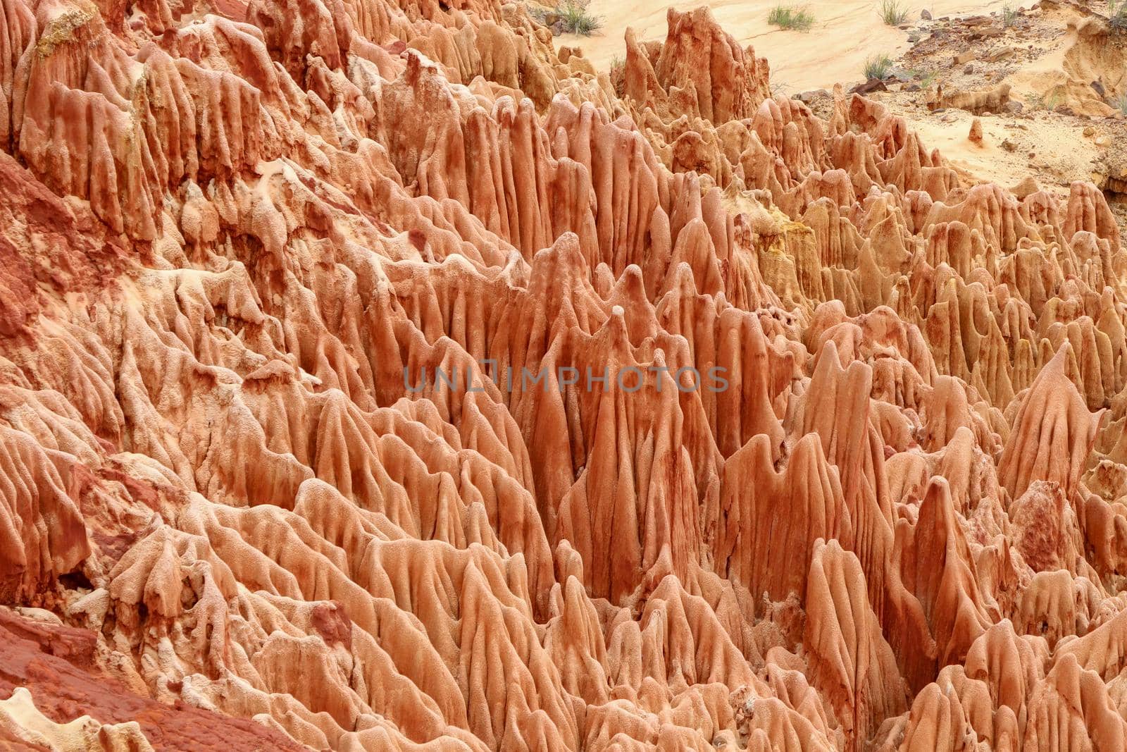 Sandstone formations and needles in Tsingy Rouge Park in Madagascar by reinerc