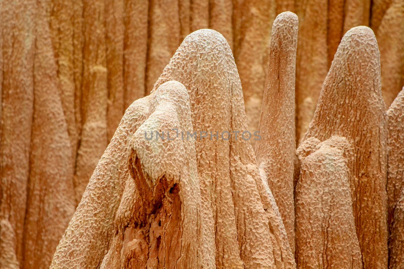 Red sandstone formations  and needles (Tsingys) in Tsingy Rouge Park in Madagascar, Africa