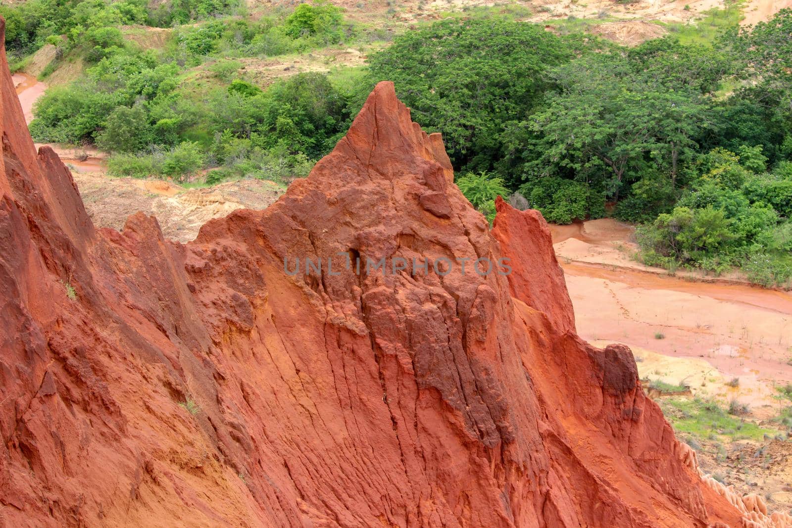 Red sandstone formations  and needles (Tsingys) in Tsingy Rouge Park in Madagascar, Africa