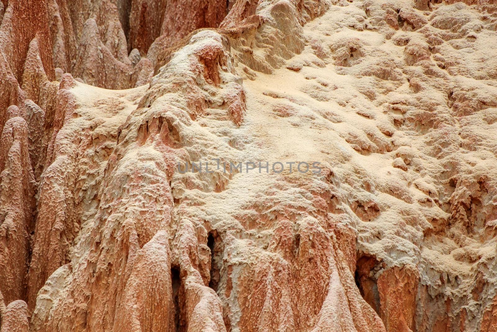 Sandstone formations and needles in Tsingy Rouge Park in Madagascar by reinerc