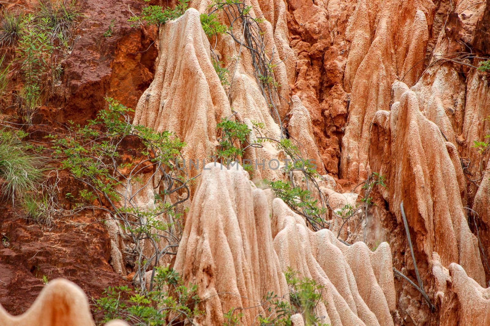 Sandstone formations and needles in Tsingy Rouge Park in Madagascar by reinerc