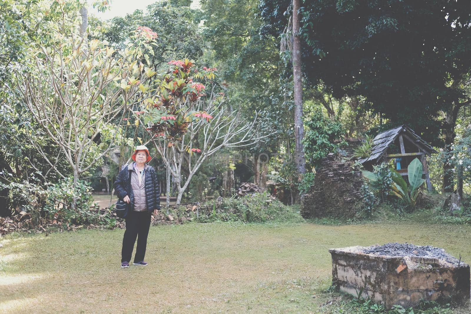 asian old elderly female elder woman resting relaxing in park. senior leisure lifestyle