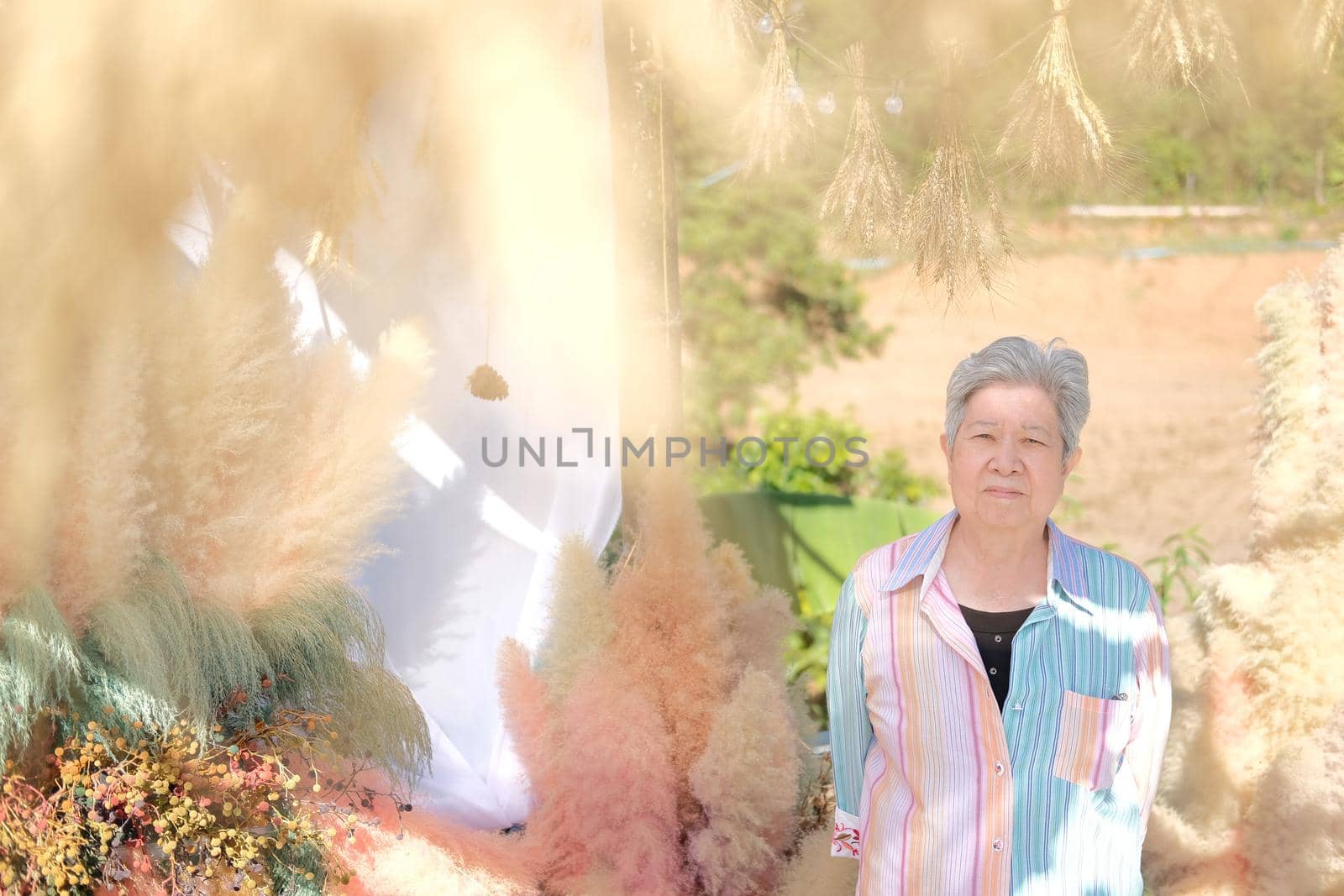 asian old elder woman elderly female relaxing resting on terrace balcony. senior leisure lifestyle