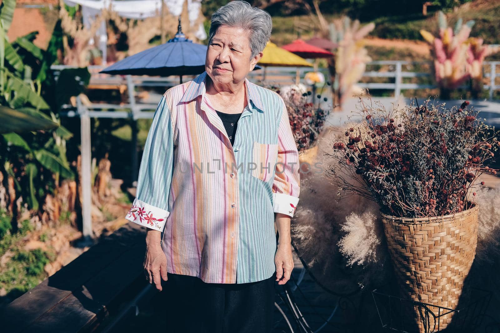 asian old elder woman elderly female relaxing resting on terrace balcony. senior leisure lifestyle