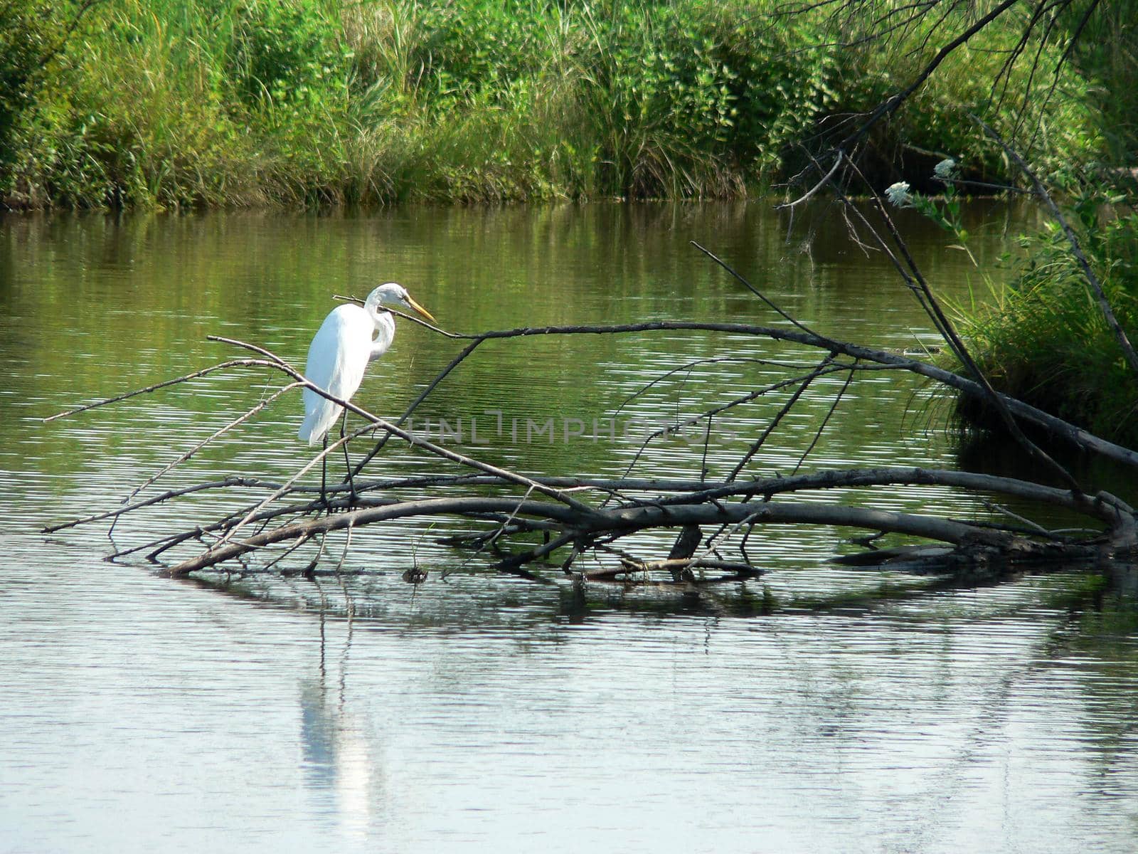 Scenes from Chisholm Creek Park in Wichita, Kansas